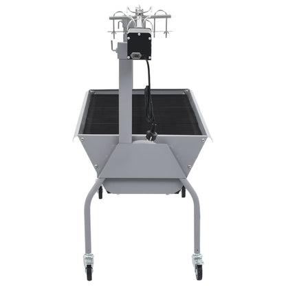 Draaispit Barbecue Met Elektrische Motor