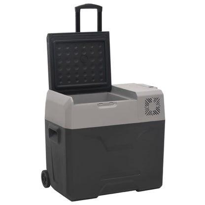 Koelbox Met Wielen En Adapter Polypropeen Zwart En Grijs