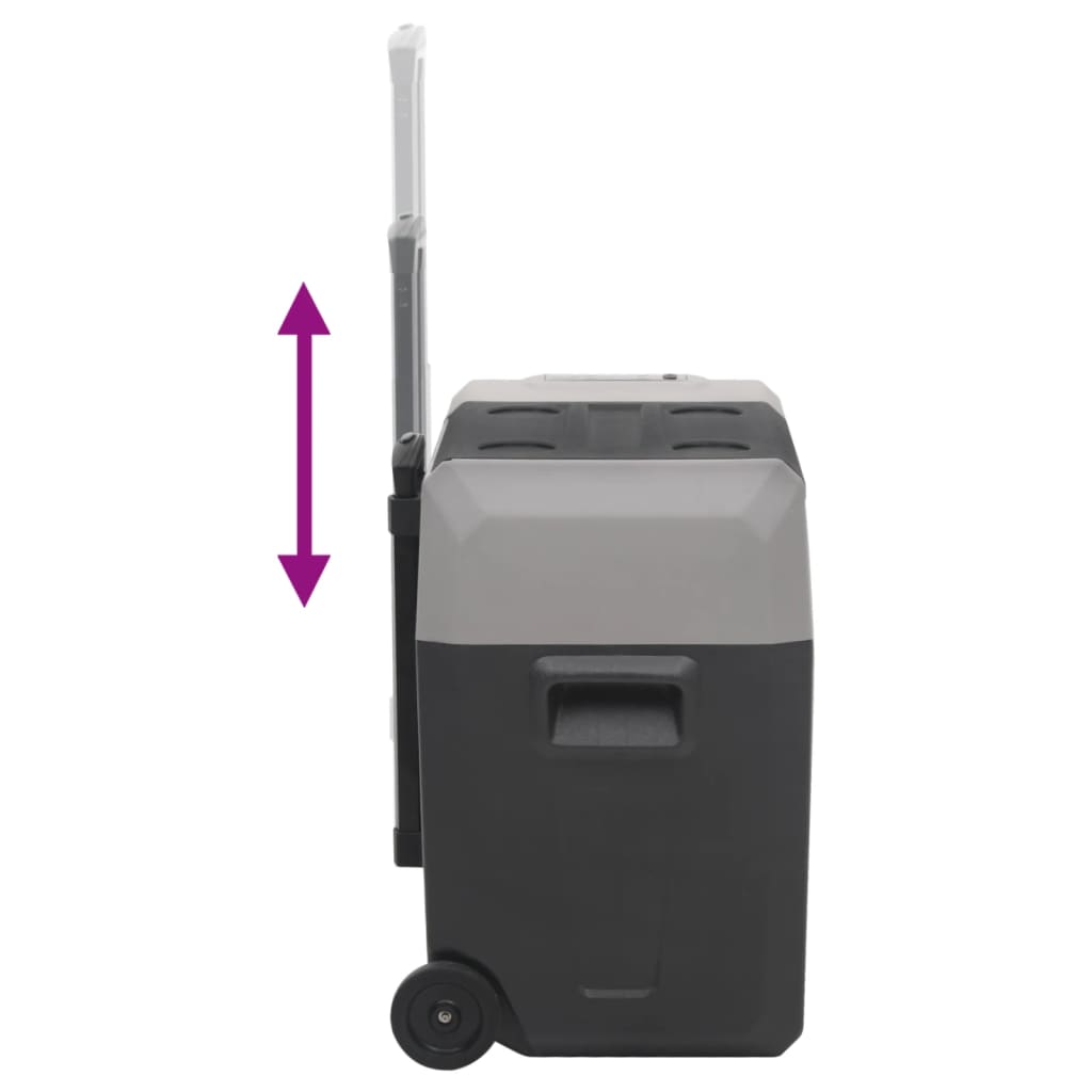 Koelbox Met Wielen En Adapter Polypropeen Zwart En Grijs