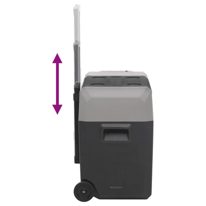 Koelbox Met Wielen En Adapter Polypropeen Zwart En Grijs