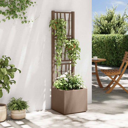 Tuinplanter Met Trellis Pp